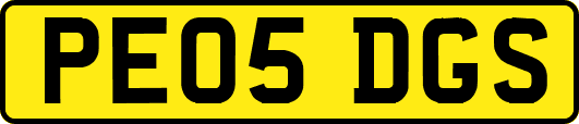 PE05DGS