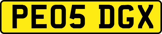 PE05DGX