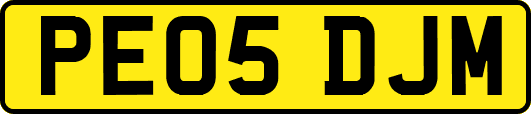 PE05DJM