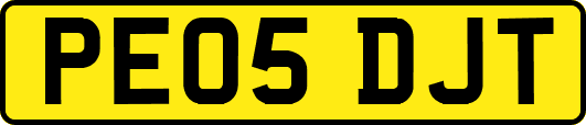 PE05DJT