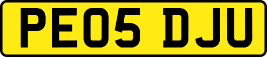 PE05DJU