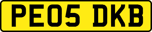 PE05DKB