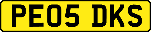 PE05DKS
