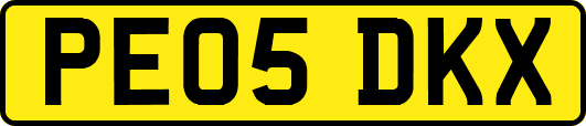 PE05DKX