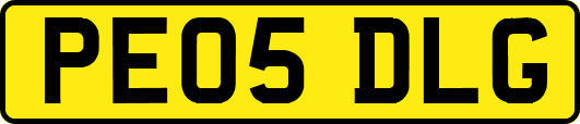 PE05DLG
