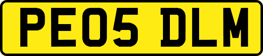 PE05DLM