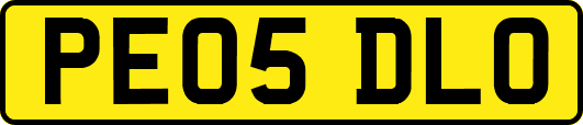PE05DLO