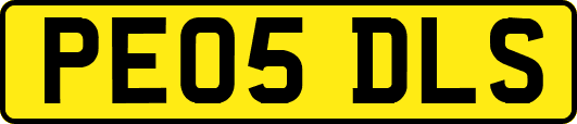PE05DLS