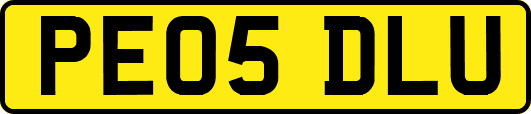 PE05DLU