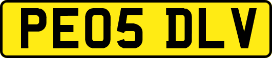 PE05DLV