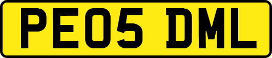 PE05DML