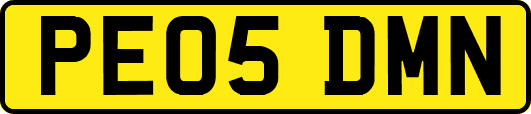 PE05DMN
