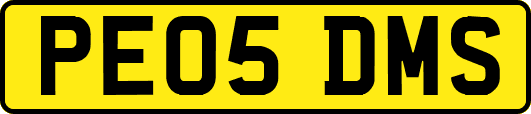 PE05DMS