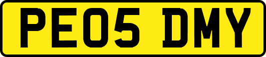 PE05DMY