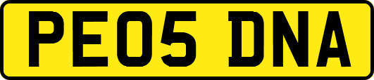 PE05DNA
