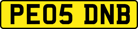 PE05DNB