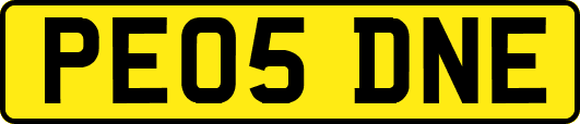 PE05DNE