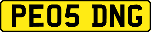 PE05DNG