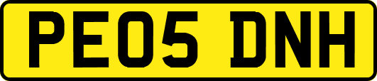 PE05DNH