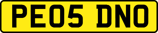 PE05DNO