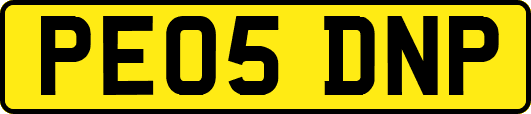 PE05DNP