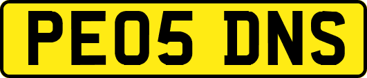 PE05DNS