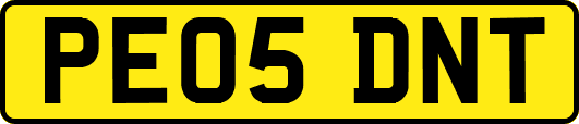 PE05DNT