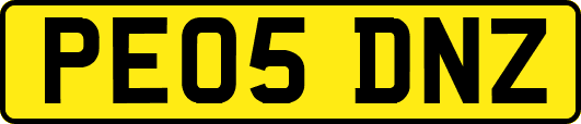 PE05DNZ