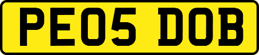 PE05DOB