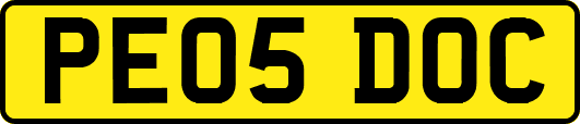 PE05DOC