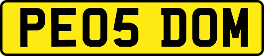 PE05DOM