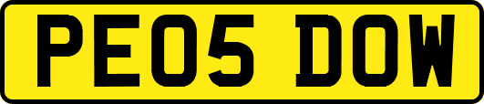 PE05DOW