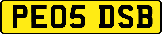 PE05DSB
