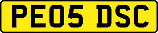 PE05DSC