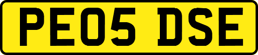 PE05DSE