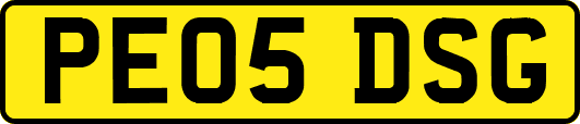 PE05DSG