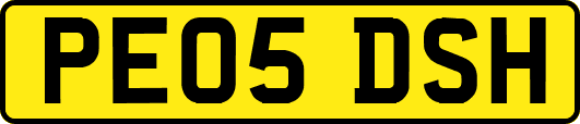 PE05DSH