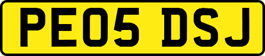 PE05DSJ