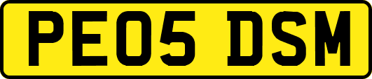 PE05DSM