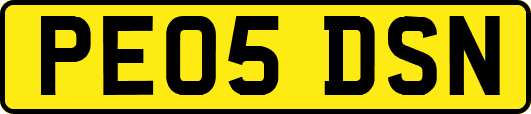 PE05DSN