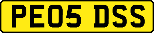 PE05DSS