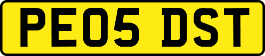 PE05DST
