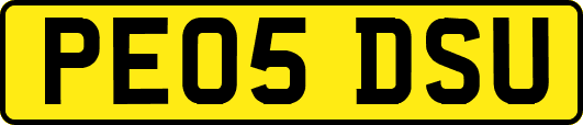 PE05DSU