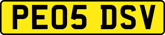 PE05DSV