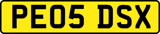 PE05DSX