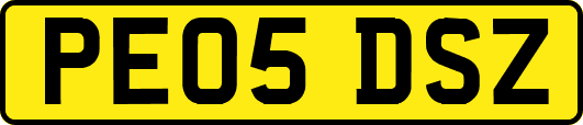 PE05DSZ
