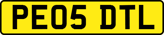 PE05DTL