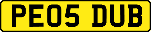 PE05DUB