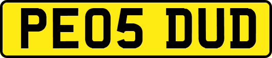 PE05DUD