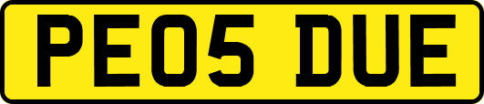 PE05DUE